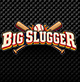 BIG SLUGGER