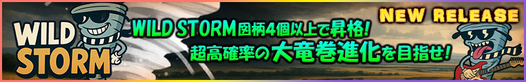 WILD STORM