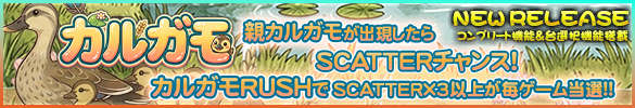 カルガモ
