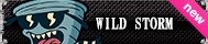 WILD STORM
